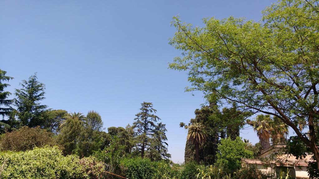 Qui Home Córdoba Exteriér fotografie